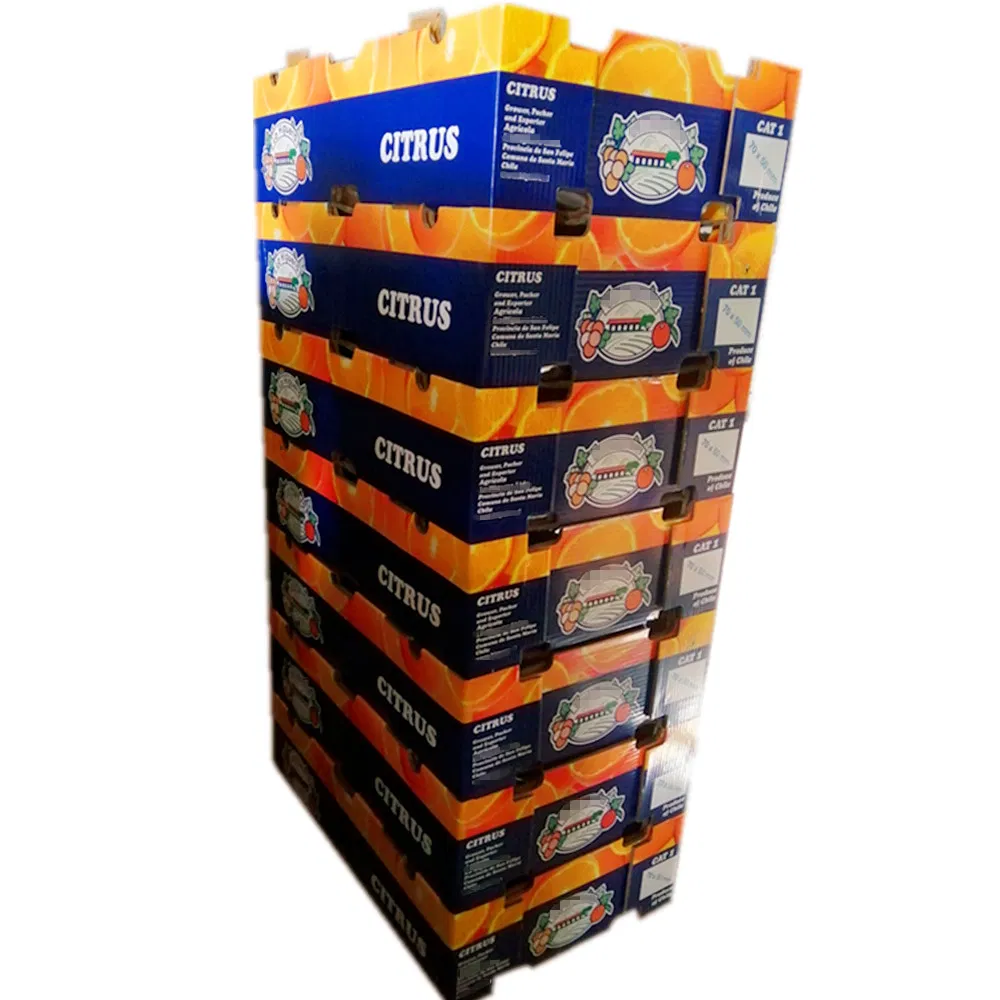 Fruit Vegetable Custom Storage Turnover Tray Box Food Gift Shipping Corrugated Cardboard Packaging Boxes