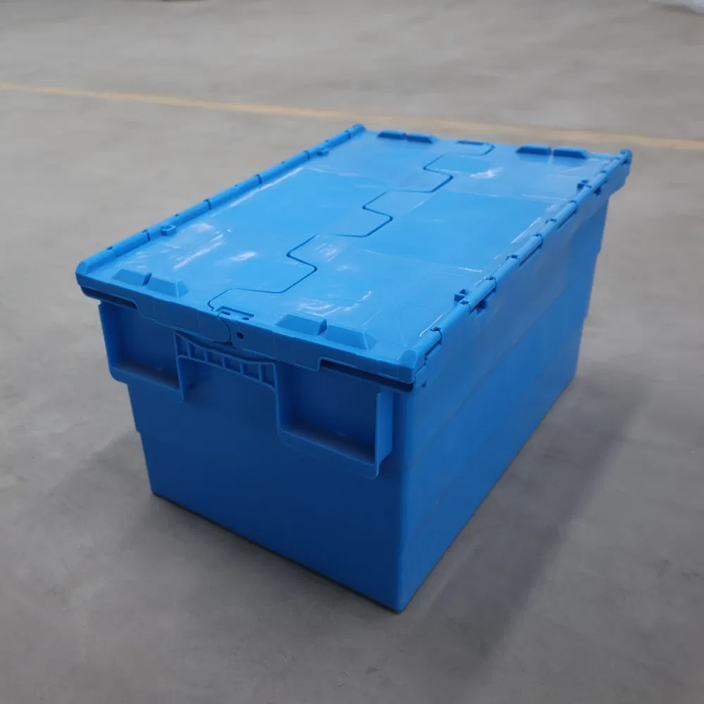 Water-Resistant High-Strength PP Vegetable Turnover Box for Picnic Packing