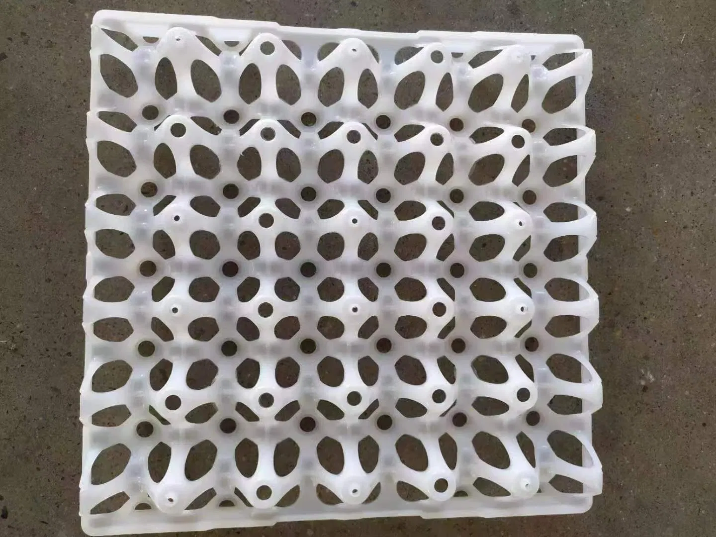 Chicken Farm Egg Wholesale Transport Tray Blister Box Skin