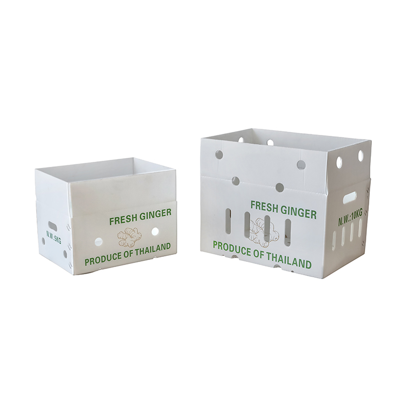 Factory OEM/ODM Corrugated Plastic Foldable Turnover Box Plastic Fruit and Vegetable Box