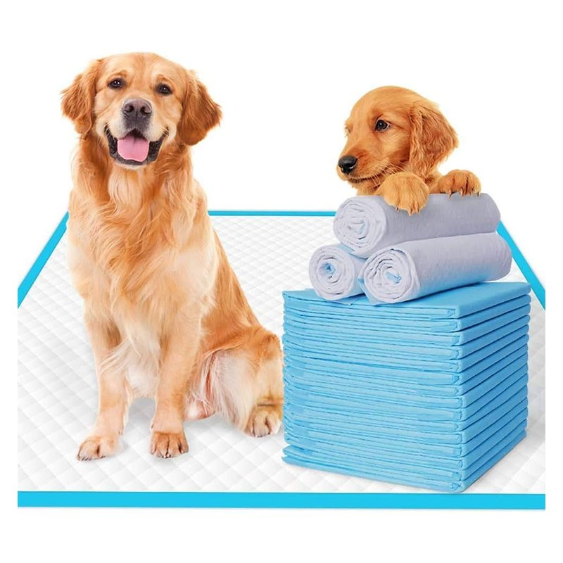 Free Sample Supply Best Seller Pet Urinating Pad