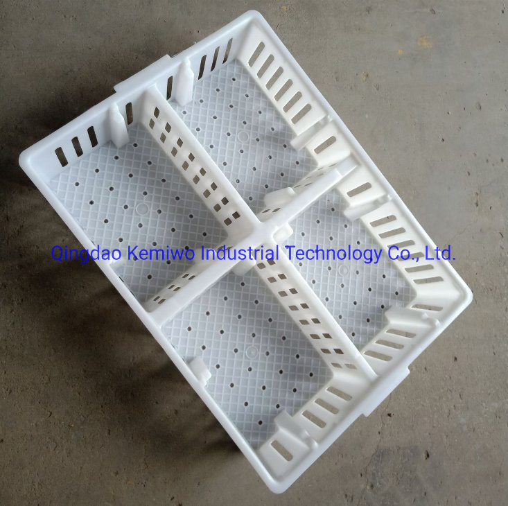 Poultry Chicken Transport Stackable Cage/Box