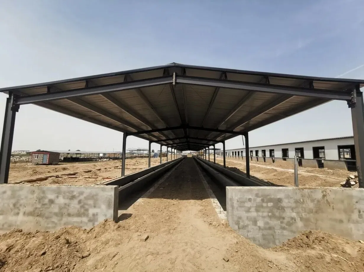 Eco-Friendly Prefabricated Durable Livestock &amp; Poultry Building Steel Structure