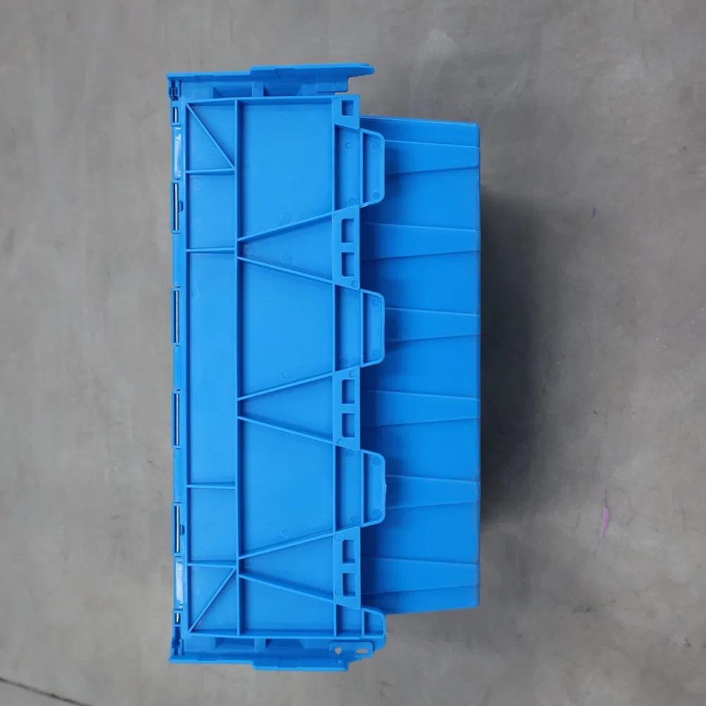 Water-Resistant High-Strength PP Vegetable Turnover Box for Picnic Packing