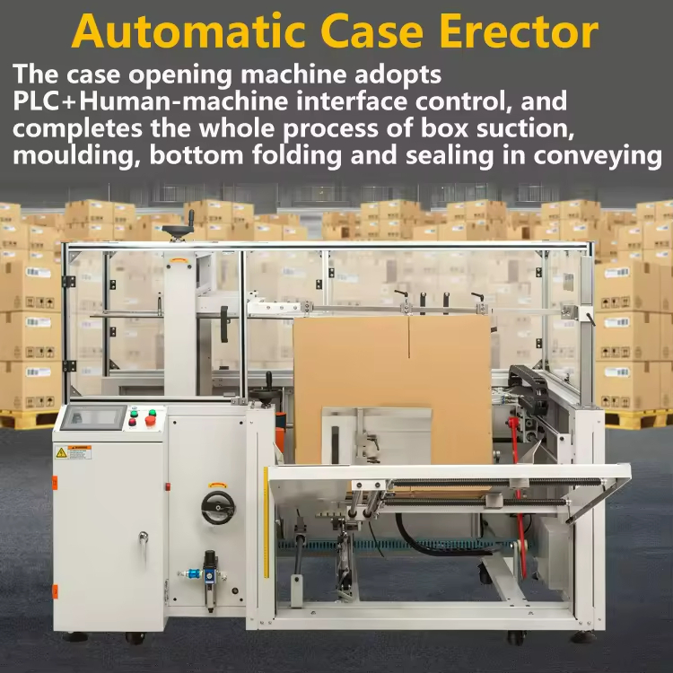 Low-Noise Carton Forming Machine: Safety-Guarded Auto-Erector for Pharmaceutical Logistics