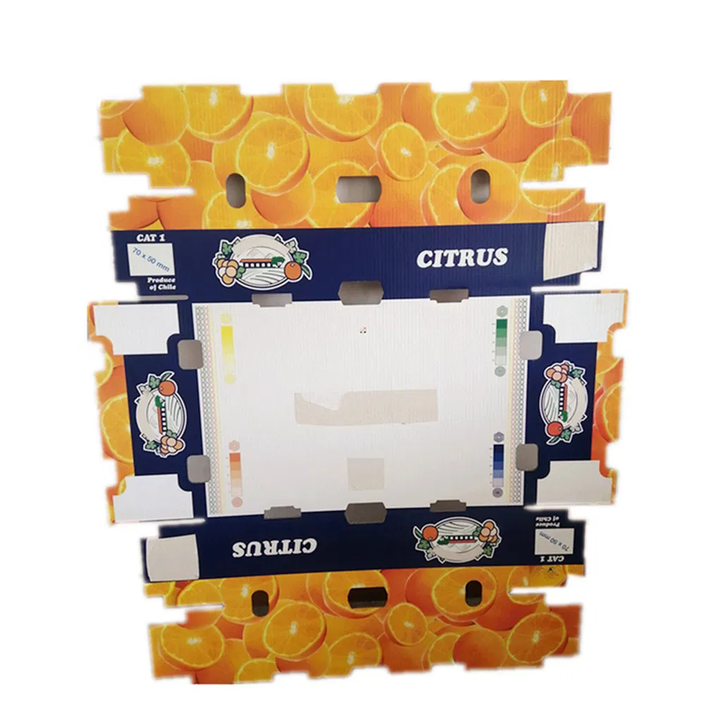 Fruit Vegetable Custom Storage Turnover Tray Box Food Gift Shipping Corrugated Cardboard Packaging Boxes