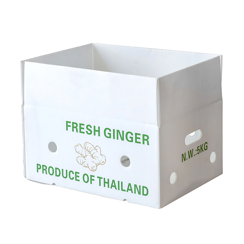 Factory OEM/ODM Corrugated Plastic Foldable Turnover Box Plastic Fruit and Vegetable Box