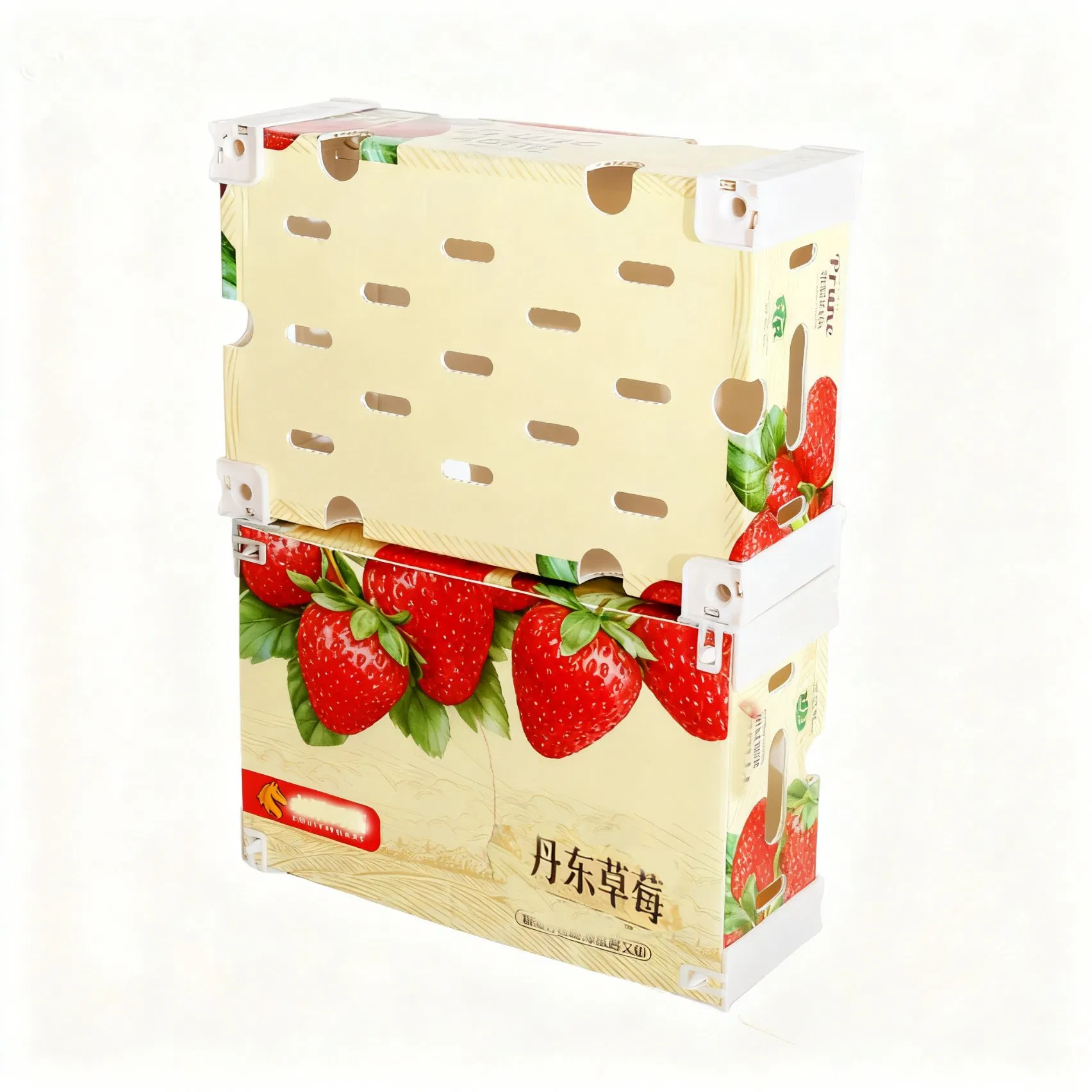 Customizable Vegetable Fruit Chicken Fish Thermal Insulation Cooler Shipping Stone Strawberry Boxes