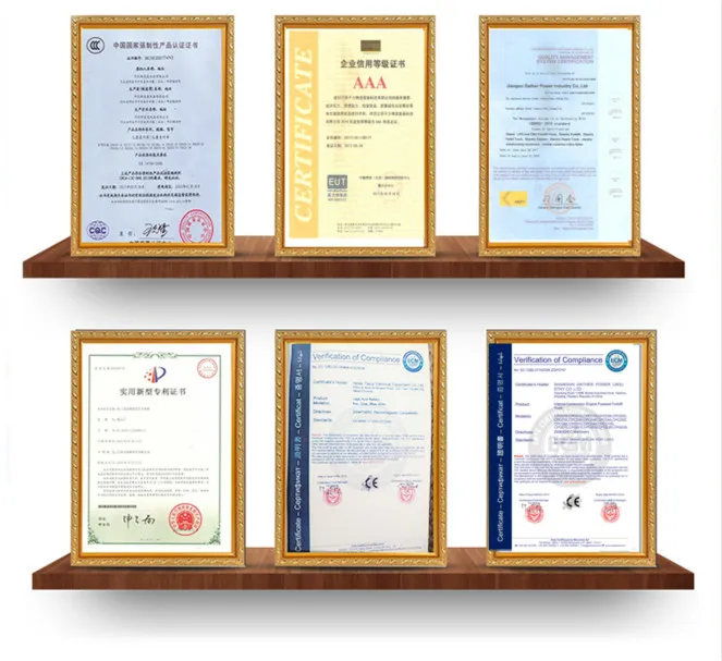 Electric Lifting Stacker 5