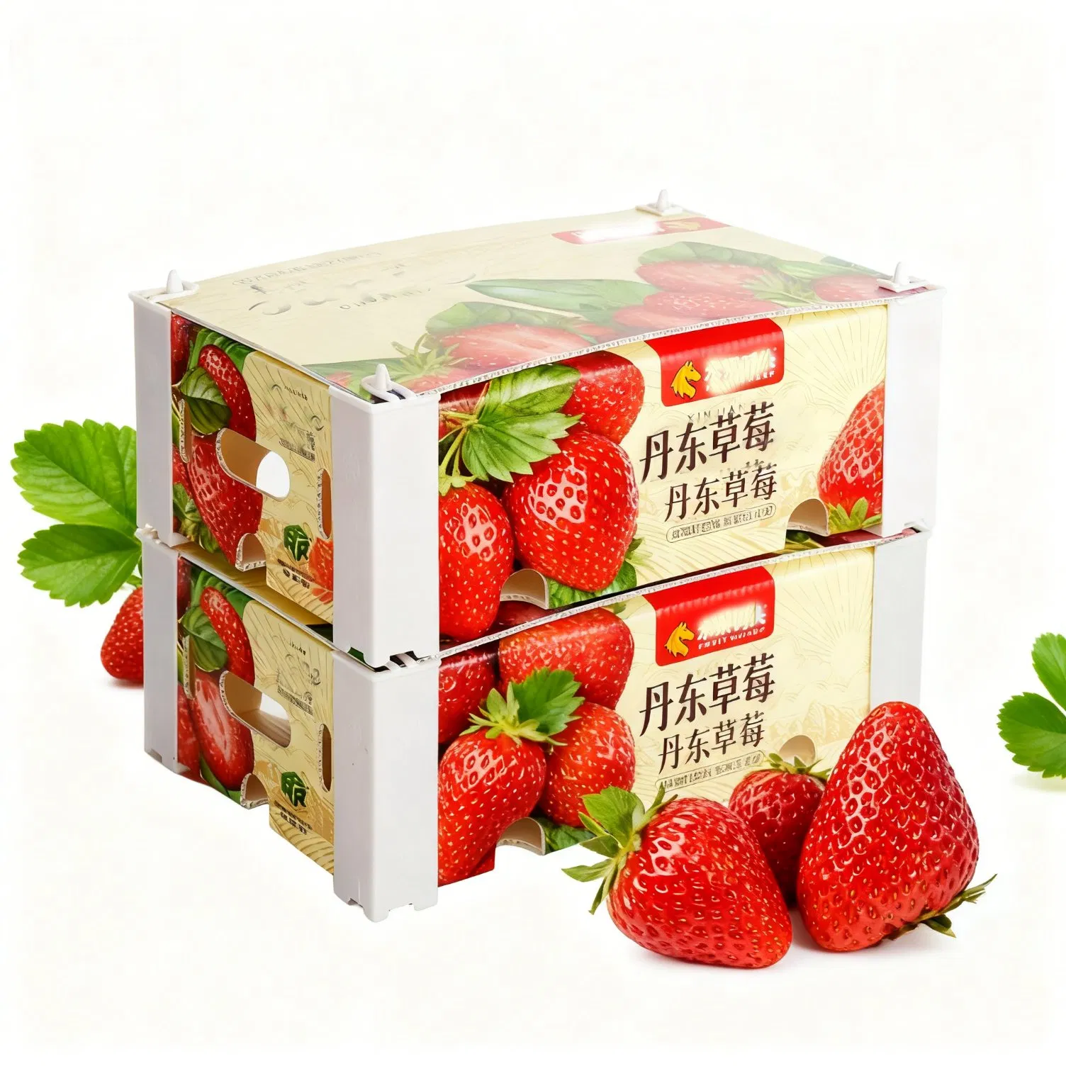 Customized Folding Color Fruit Packaging Box with Real-Time Stone Waterproof Box