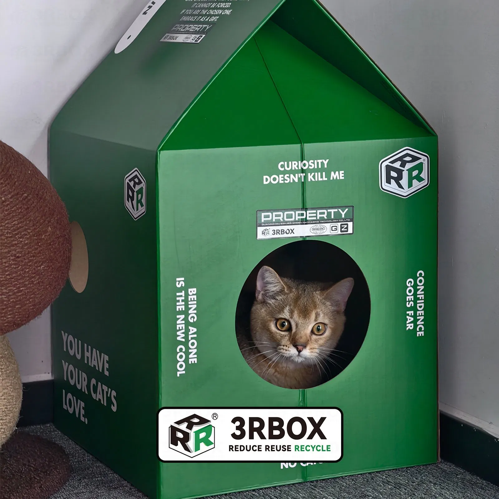 Reusable Washable Foldable Durable Cat Box