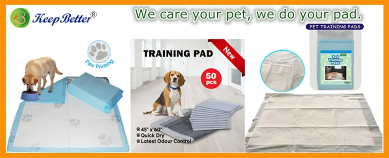 Pet Training Pad