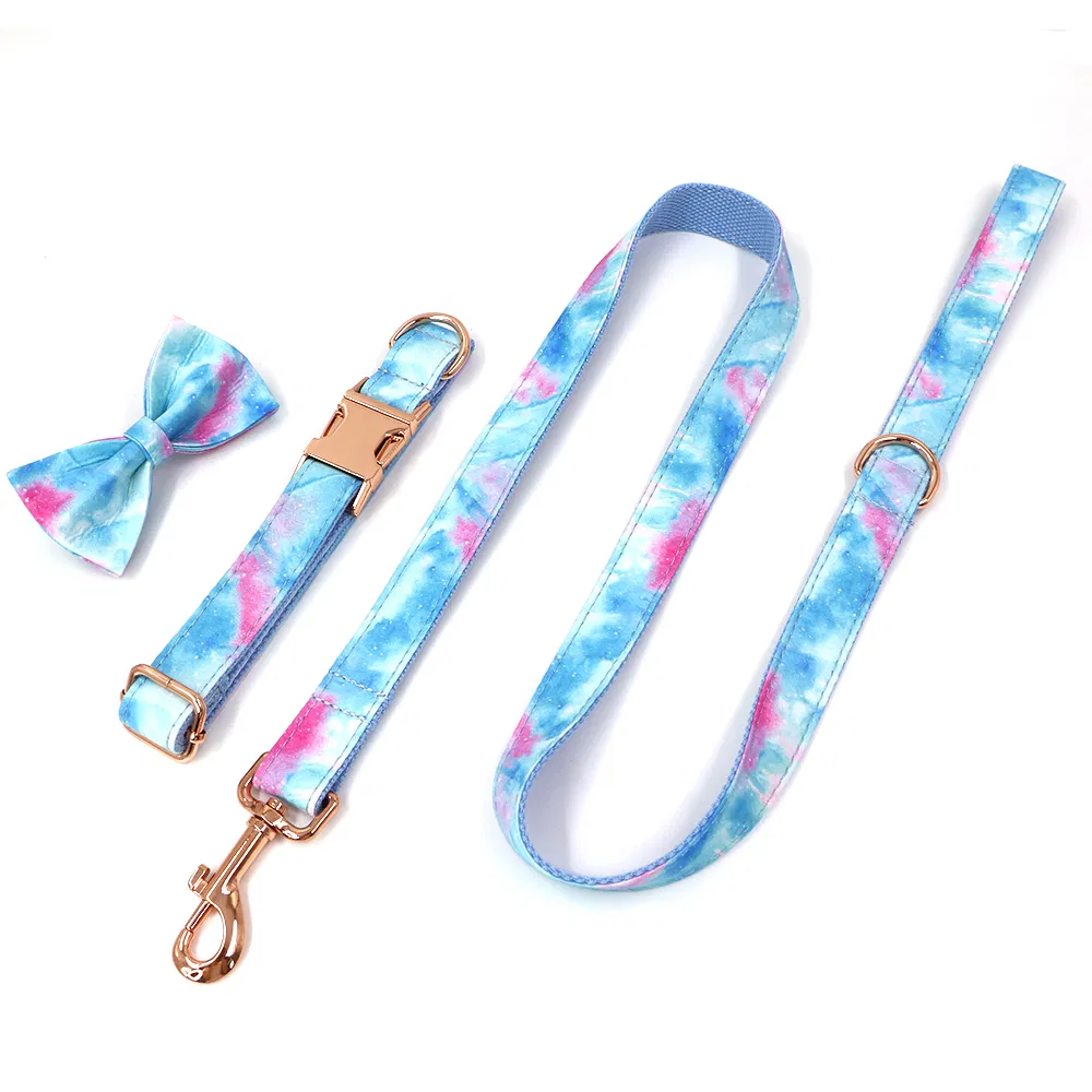 Dog Collar Set 6