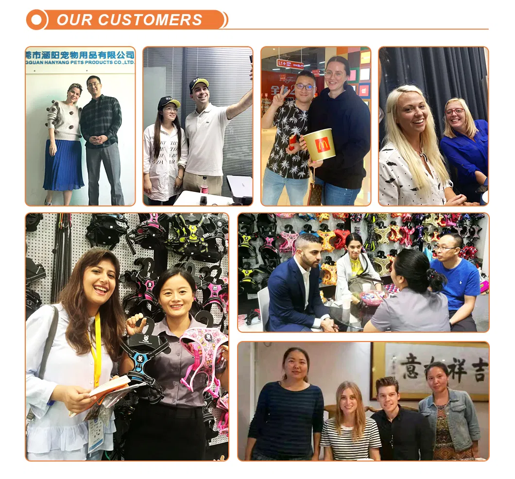 Dog Harness Detail 12