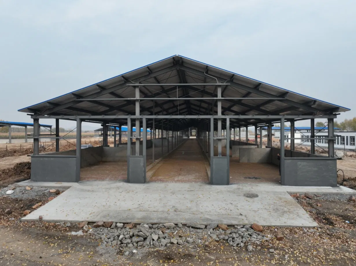 Robust Eco-Friendly Anti-Corrosion Metal Livestock &amp; Poultry House Steel Structure