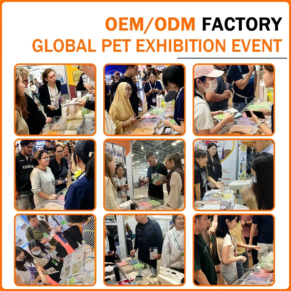 Pet Product Supply Low Tracking Clumping Kitty Litter Affordable Cat Litter Sands Dust-Free Odor Control Cat Litter Sand Affordable Bentonite Cat Litter