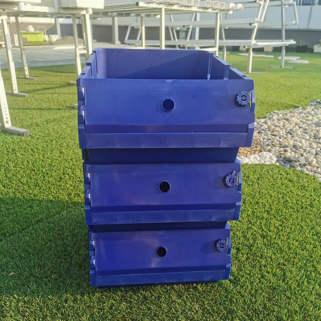 Soft Shell Crab Farming