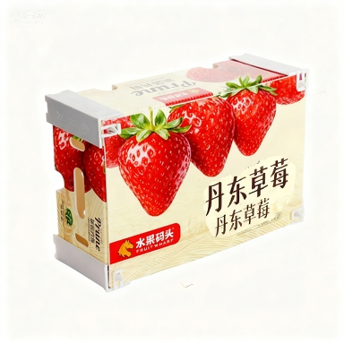 Customizable Vegetable Fruit Chicken Fish Thermal Insulation Cooler Shipping Stone Strawberry Boxes