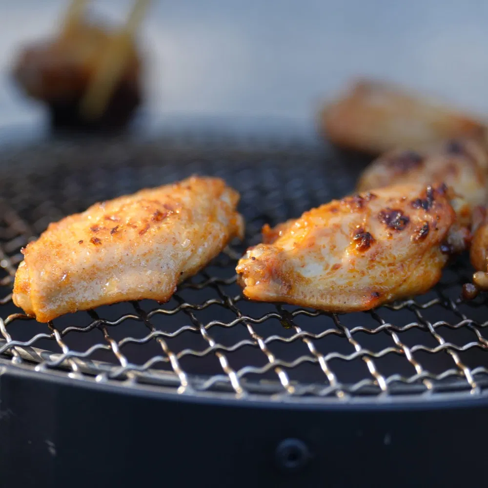 Carry-on Camping Stove and Desk, 3 in 1