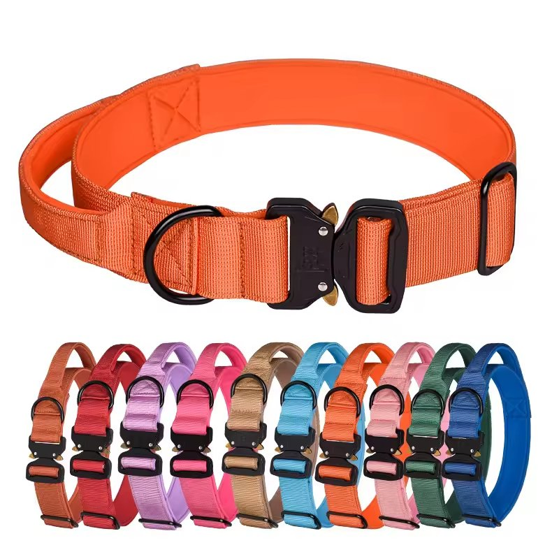 Heavy Duty Nylon Dog Collar with Metal Buckle, Reflective &amp; Custom Logo (Pet Supplies)