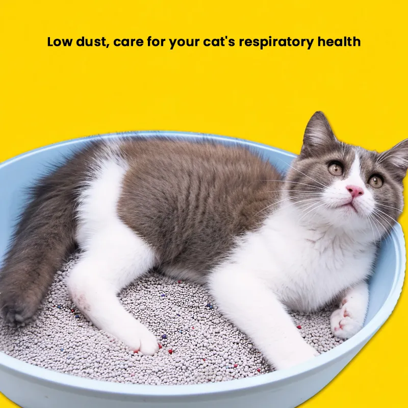 Cat Litter Details 6