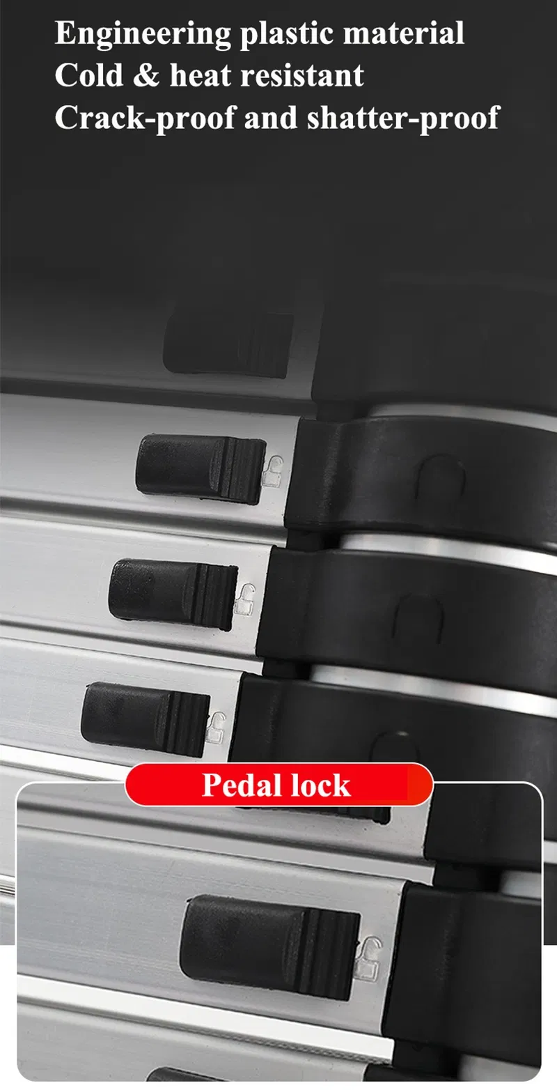 Telescopic Ladder Detail 6