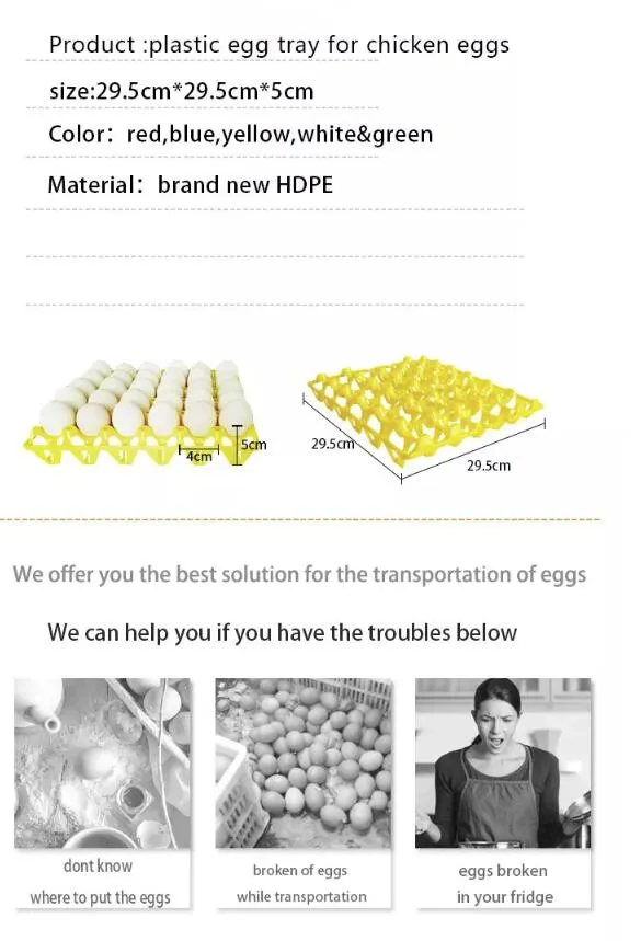 Chicken Egg Transport Tray Specifications