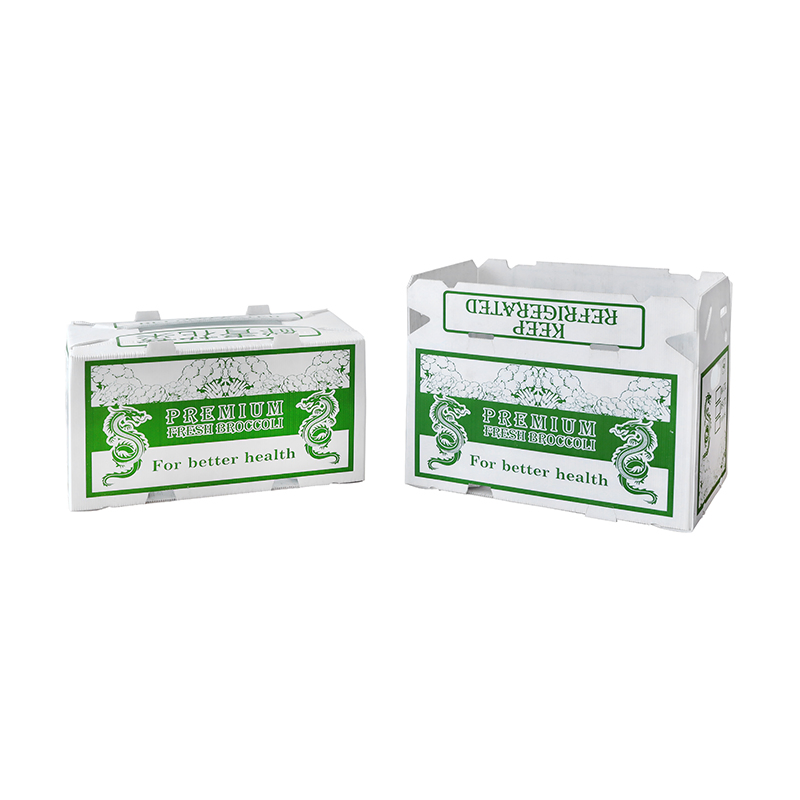 Factory OEM/ODM Corrugated Plastic Foldable Turnover Box Plastic Fruit and Vegetable Box