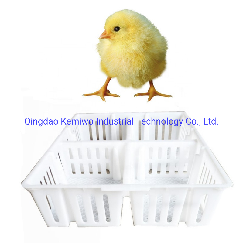 Poultry Chicken Transport Stackable Cage/Box