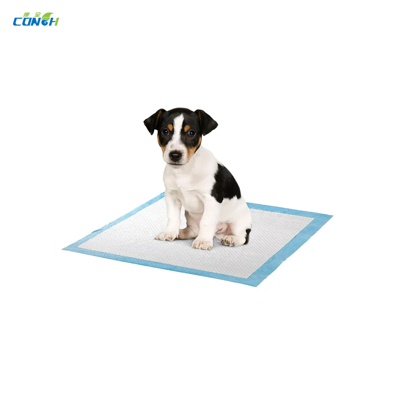 Free Sample Supply Best Seller Pet Urinating Pad