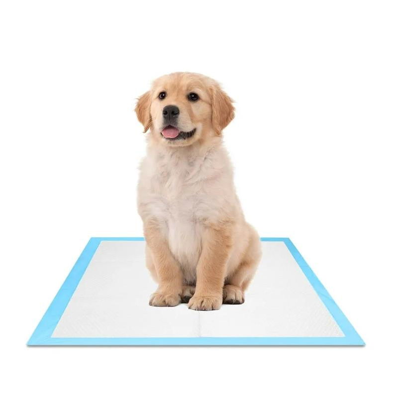 Free Sample Supply Best Seller Pet Urinating Pad