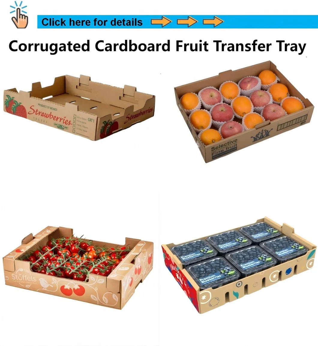 Packaging Solution 2