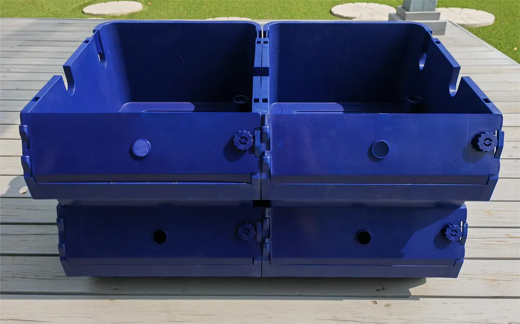 Spotted Box Crab System