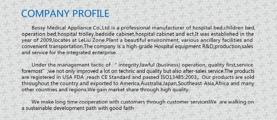 Manufacturing Facilities