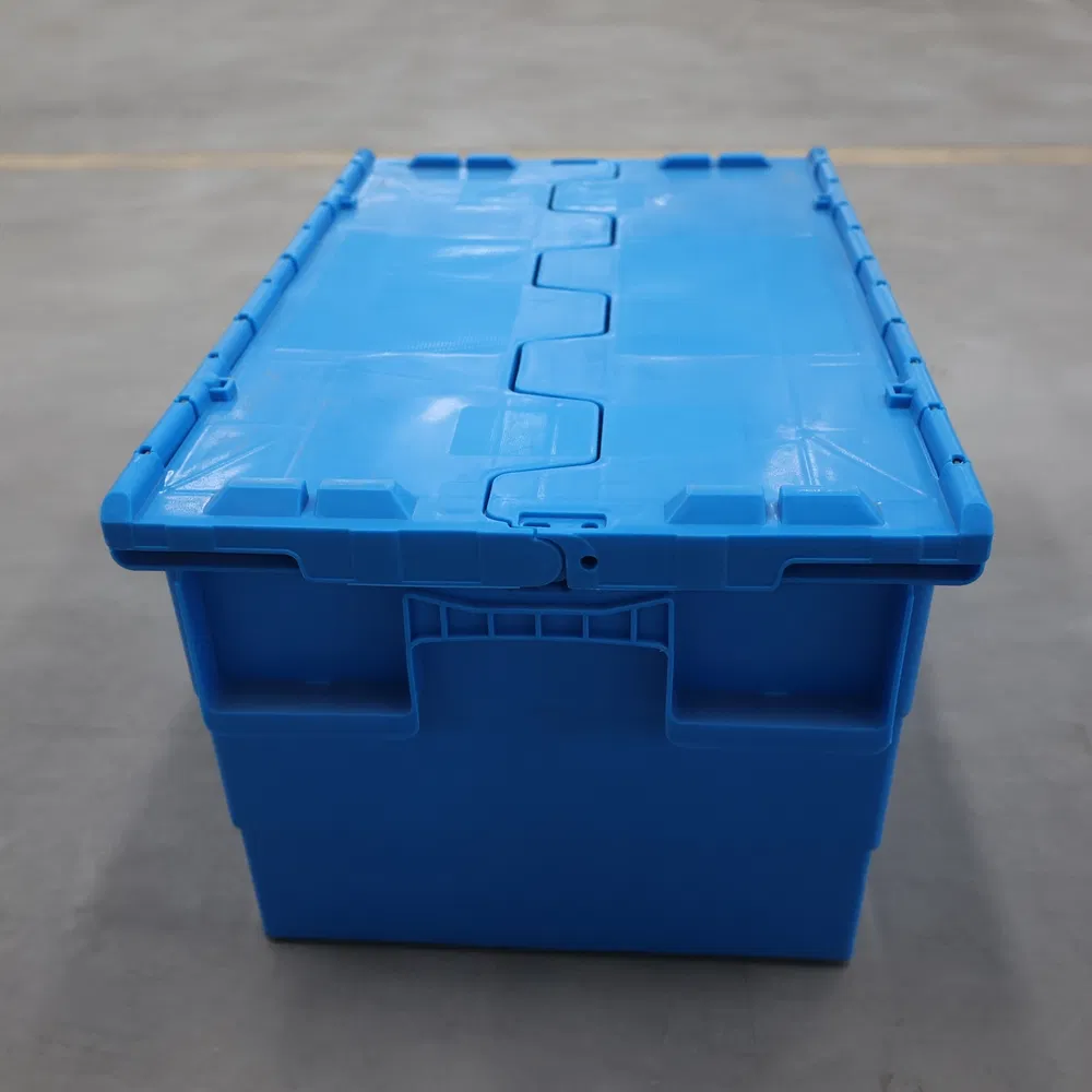 Water-Resistant High-Strength PP Vegetable Turnover Box for Picnic Packing