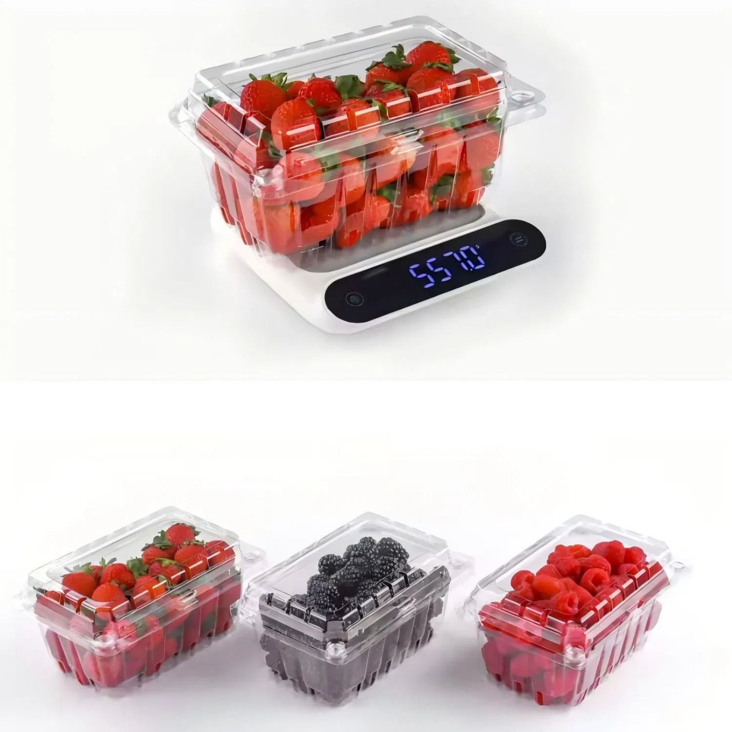 1 Lb Pet Blister Plastic Strawberry Clamshell Box for Fruit Packing