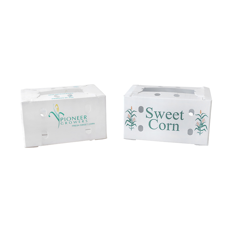 Factory OEM/ODM Corrugated Plastic Foldable Turnover Box Plastic Fruit and Vegetable Box