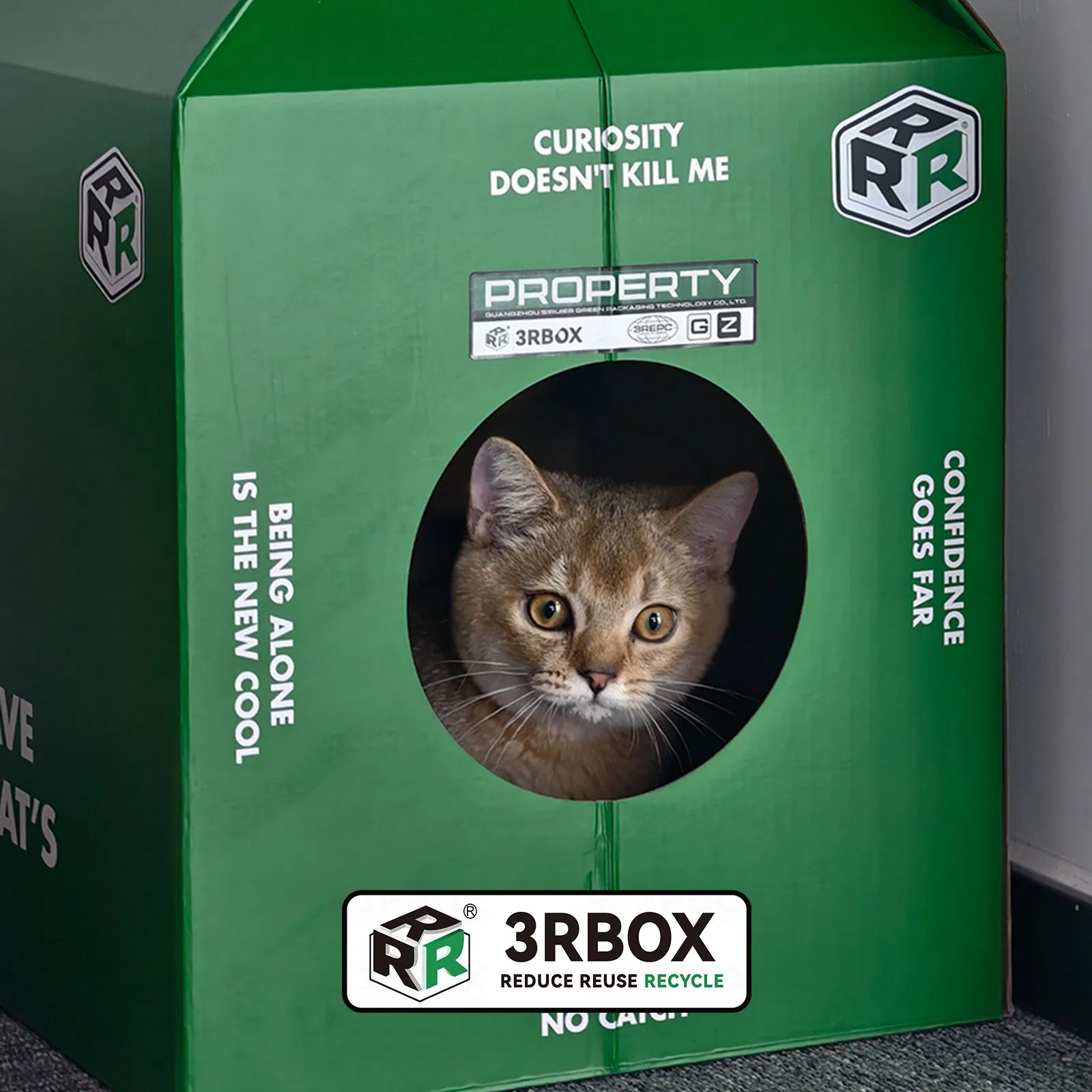 Reusable Washable Foldable Durable Cat Box