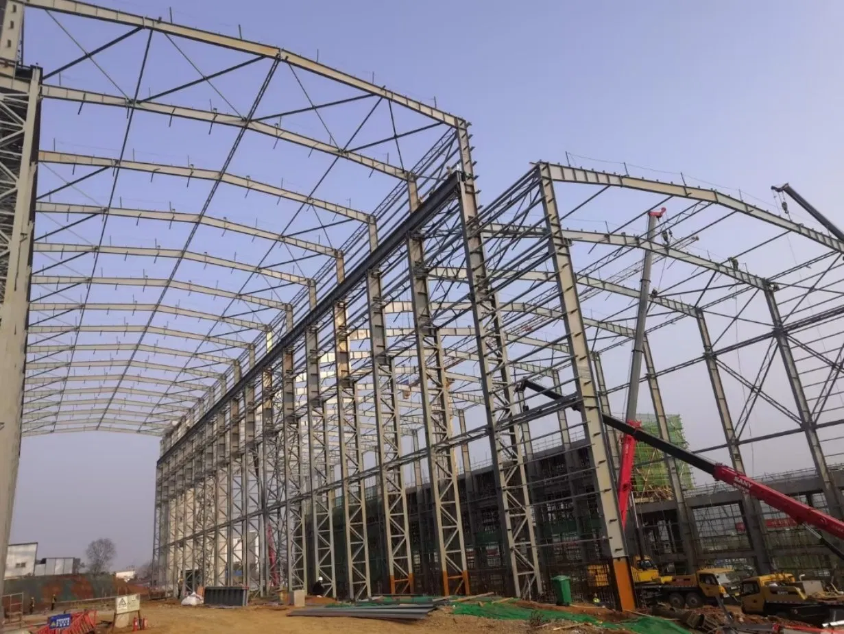 Robust Eco-Friendly Anti-Corrosion Metal Livestock &amp; Poultry House Steel Structure