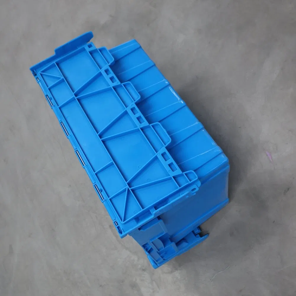 Water-Resistant High-Strength PP Vegetable Turnover Box for Picnic Packing