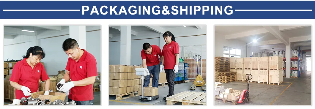 Shipping Logistics