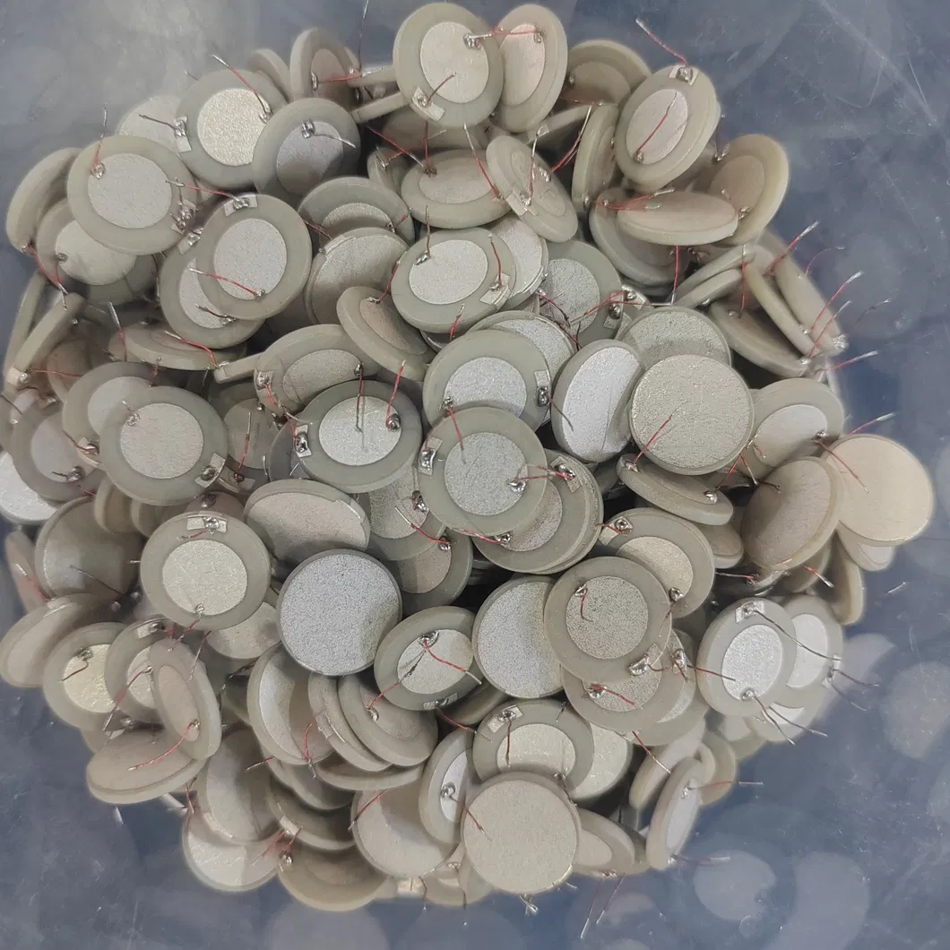 Piezoelectric Ceramic Plate