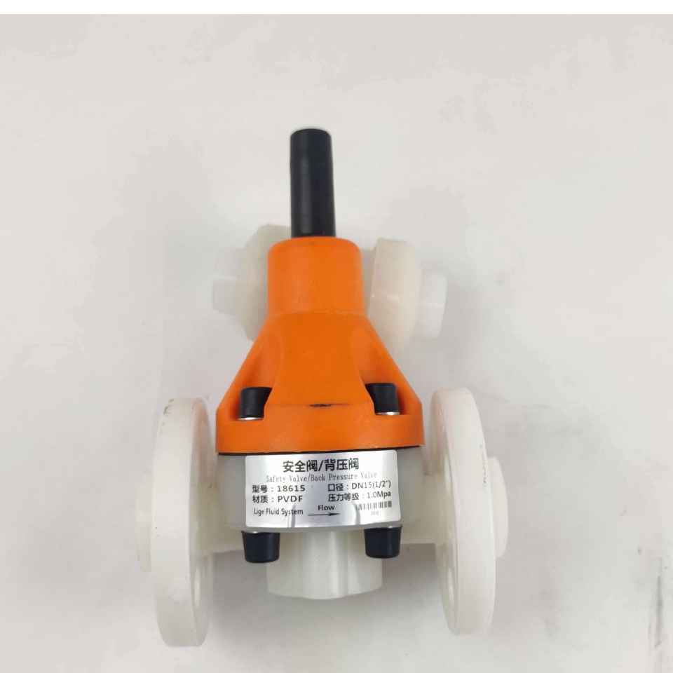 Chemical Resistant Pressure Control DN15 Safety Back Pressure Valve