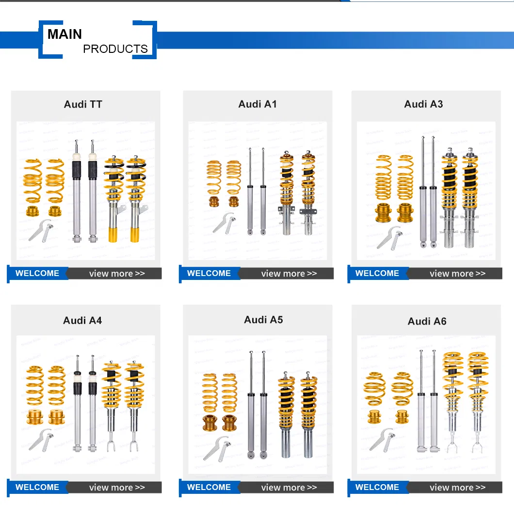 Coilover Kit Suspension 2