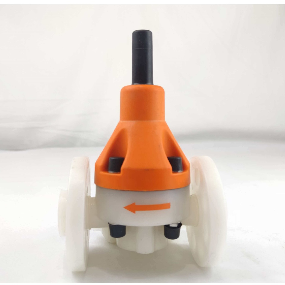 Chemical Resistant Pressure Control DN15 Safety Back Pressure Valve