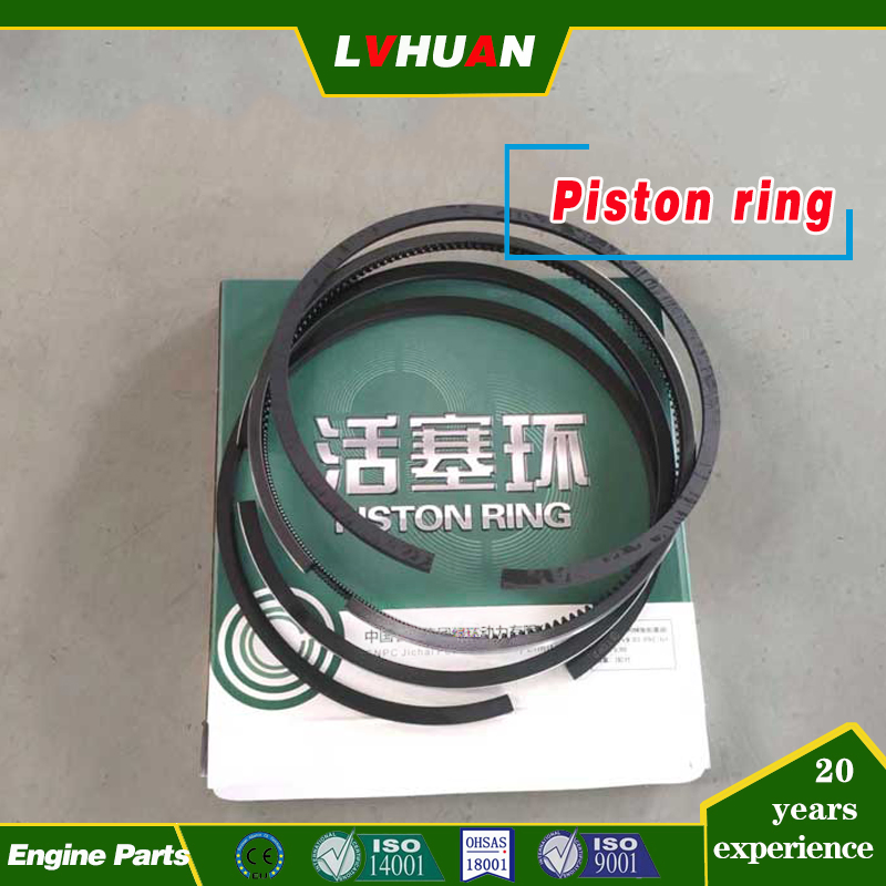 China Engine Zichai 300 Series 6300 / 8300 Ignition Systems Generator Engine Spare Part
