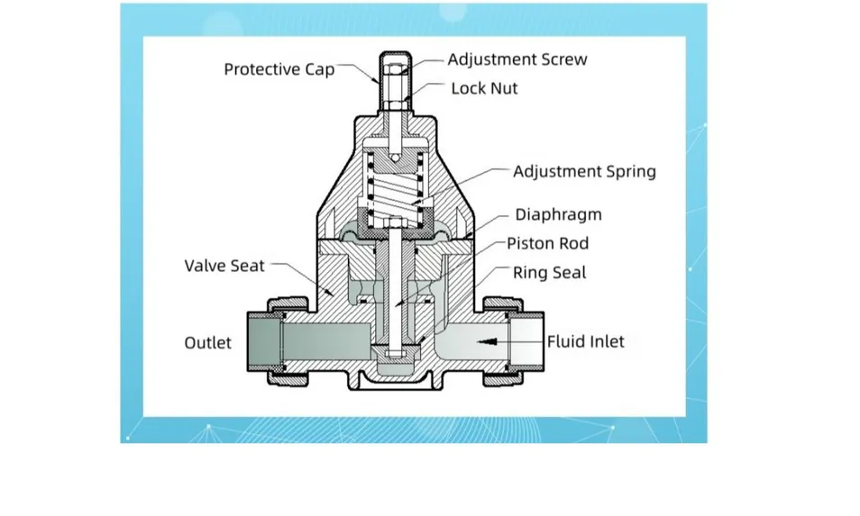 Back Pressure Valve Application