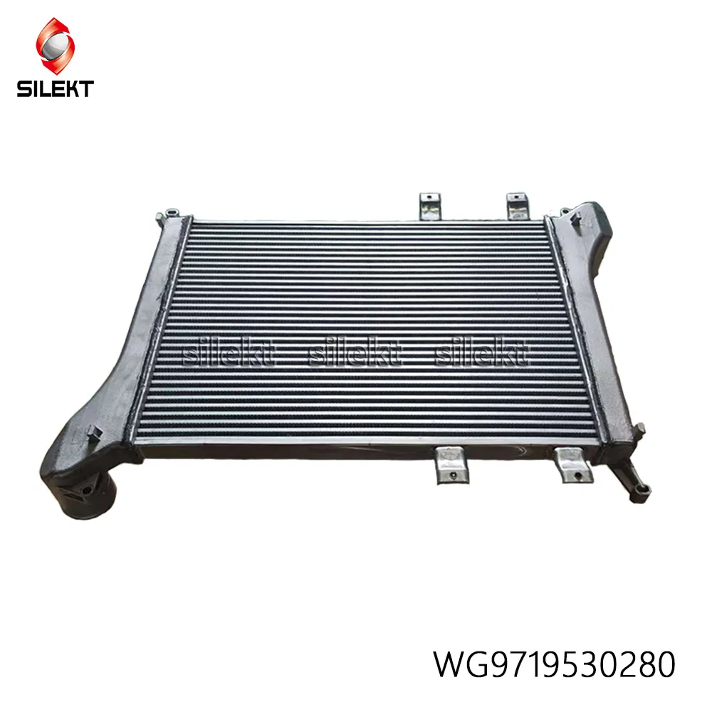Wg9719530280 Truck Spare Parts for HOWO Cooling System Air Conditioner Intercooler