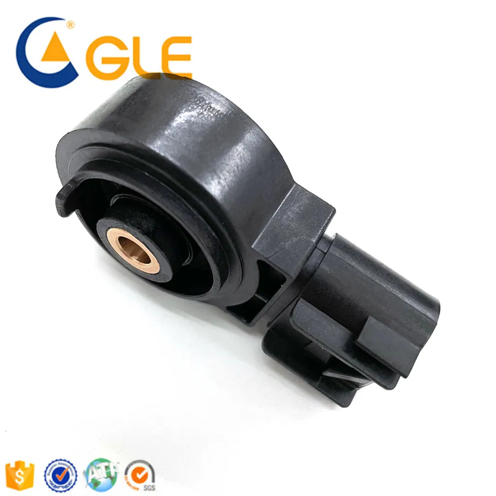 High Quality Customized PA66+GF30 Plastic Injection &amp; Insert Molding Sensor Components
