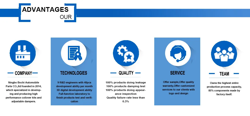 Coilover Kit Suspension 5